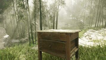 A rustic wooden table surrounded by the serene beauty of a dense forest photo