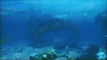 An underwater view of a rock formation in the ocean photo