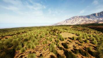 un vasto Desierto paisaje con majestuoso montañas en el distancia foto