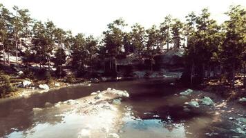 scenic mountain vista, with a tranquil lake and towering pines photo