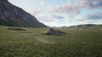 un hermosa montaña paisaje con un verde campo en el primer plano foto