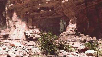 A rocky landscape with vibrant plants growing amidst the rocks photo