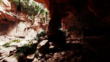 A majestic cave filled with ancient rock formations and lush vegetation photo