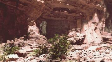 A rocky area with rocks and plants growing out of it photo