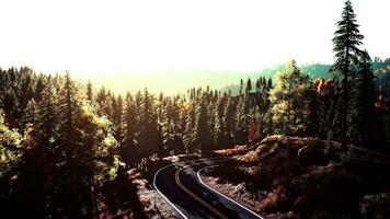 A serene road winding through a picturesque forest at sunset photo