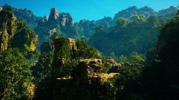 A view of a mountain range with trees in the foreground photo