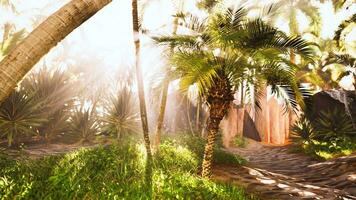 sorprendentes rayos de sol rotura mediante palma árbol en tropical oasis foto