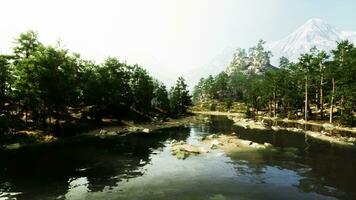 A river running through a forest with a mountain in the background photo