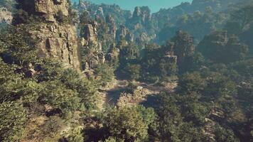 A view of a mountain range with trees and rocks photo