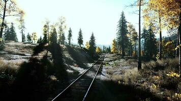 A scenic train track running through a vibrant forest at sunset photo