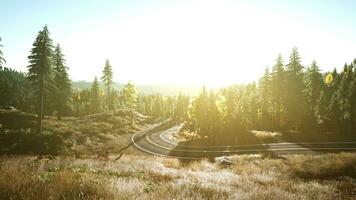 An empty road winding through a serene forest at sunset photo