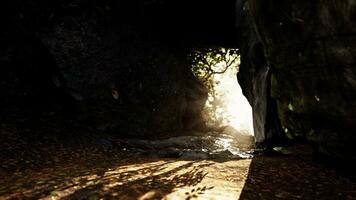 Sun light in the cave photo