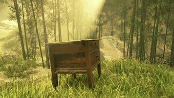 A serene wooden bench nestled in the heart of a lush forest photo