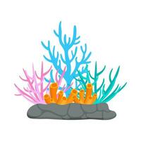 plano ilustración de mar coral arrecife vector