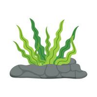 Flat illustration of sea coral reef vector