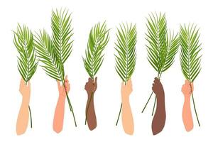 Celebration of palm Sunday in the Christian tradition. Hands are raised with palm branches, the hands of people of different nationalities celebrating a religious holiday. Isolated vector. vector