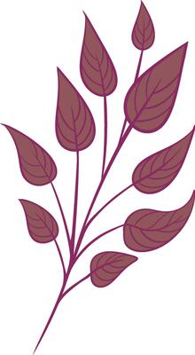Plant Element iIlustration
