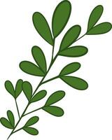 Plant Element iIlustration vector