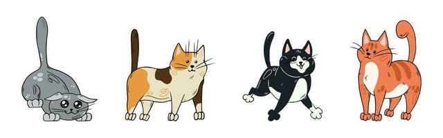 conjunto de linda gracioso gatos mano dibujado garabatear mascotas. vector ilustraciones aislado en blanco.