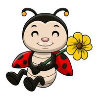 Cute ladybug cartoon on white background vector