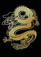 Golden Asian Dragon Illustration on Black Background vector