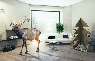 interior with plywood Christmas tree and the deer photo