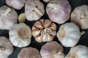 Big head of garlic on black background photo