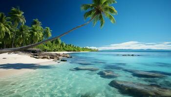 AI generated Tropical coastline, blue water, palm trees summer vacation paradise generated by AI photo