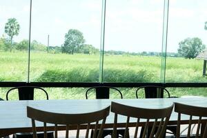 Rice field view point through glass photo