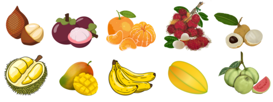 tropisch fruit set. vector geïsoleerd elementen Aan de transparant achtergrond png