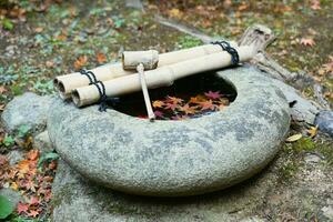a stone water bowl with bamboo sticks and leaves sitting on top of a rock photo