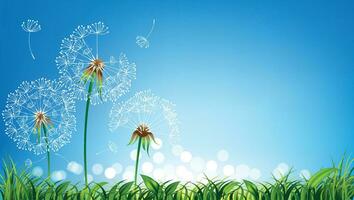 Dandelions with fresh green grass and light bokeh for Spring or summer background vector