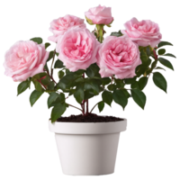 ai généré damassé Rose fleur, Photos et puis édité. png