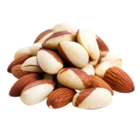 AI generated Dry Fruit Hub Brazil Nuts png