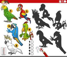 finding shadows game with cartoon parrots animals vector