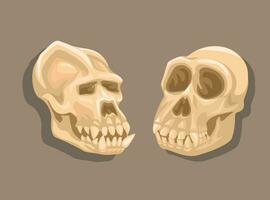 Gorilla And Monkey Skull Bone Set illustration Vector