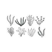 Set Collection of Seaweed Kelp Algae Moss Vector