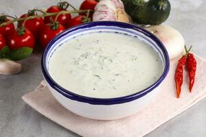 Traditional delicious appetizer greek tzatziki photo