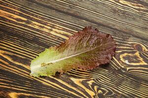 Green lettuce salad leaf isolated photo