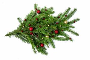Navidad rama de un natural árbol con rojo y oro pelotas en un blanco antecedentes de cerca. aislar foto