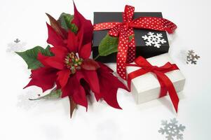 Navidad flor de pascua flor y fiesta regalos en blanco antecedentes foto