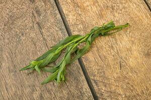 Green tarragon herb spice for cooking photo