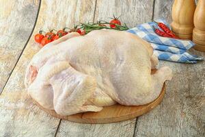 Whole raw chicken for cooking photo