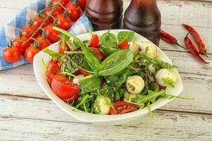 Mix salad with mozzarella and tomato photo