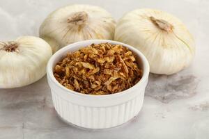 Dried roasted onion flakes for culinary photo