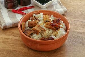 Roasred eel with steamed rice photo