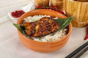 Grilled eel with steamed rice photo