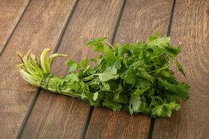 Green coriander leaves herb heap photo