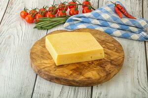 trozo de queso orgánico natural sobre tabla foto