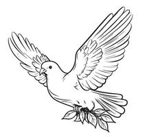 Flying dove, pigeon. Realistic ink sketch of wild bird. vector